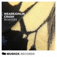 WEAREJOHLIN - Crash (Original Mix)