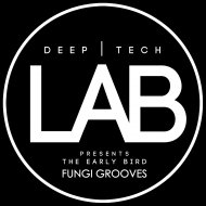 The Early Bird - Fungi Grooves (Original Mix) ()