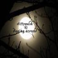 stiffywalsh - digging around (Original Mix)