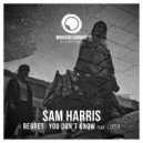Sam Harris feat. Lucia - You Don\'t Know (Original Mix)