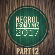 Negrol - Promo Mix 2017 (part 12) ()