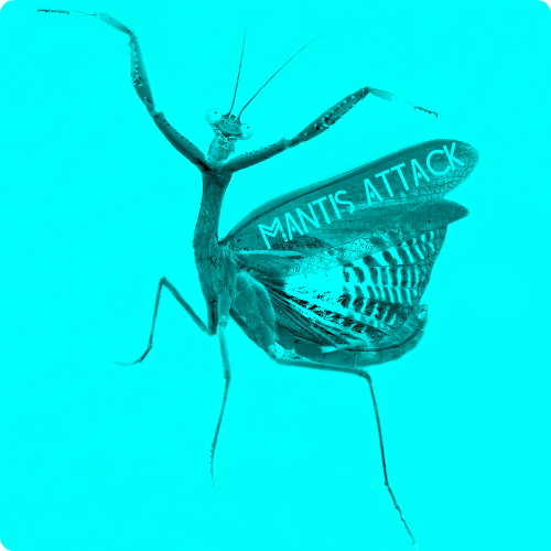 Dj Piloramos - Mantis attack ( )