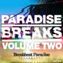 The Breakbeat Junkie & DJP - Freak Hop Part 3 (Original Mix)