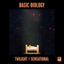 Basic Biology & Megan McKay - Twilight (feat. Megan McKay) (Original Mix)