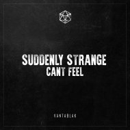 Suddenly Strange - Can\'t Feel (Original Mix)