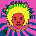 Diamond Lights - Teasing Me (Skorpio Remix)