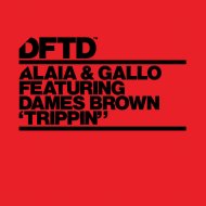 Alaia & Gallo feat. Dames Brown - Trippin\' (Extended Mix)