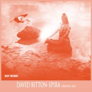 David Bitton - Spira (Original Mix)