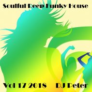 DJ Peter - Soulful Deep Funky House Vol 17 2018 ()