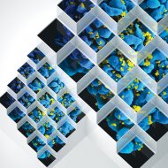 Bluetech - Crystalline Forms (Gaudi Remix)