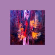 Zico House Junkie - Licht (Original Mix)