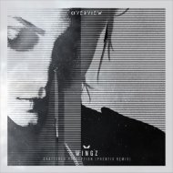 Wingz - Shattered Perception (Phentix Remix)