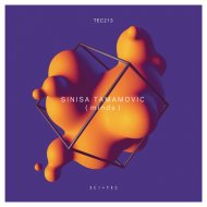 Sinisa Tamamovic - Split Minds (Original Mix)
