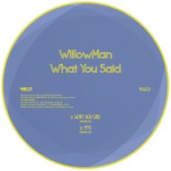 WillowMan - What You Said (Original Mix)