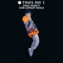 Tones And I - Dance Monkey (Cenk Gursoy Remix)