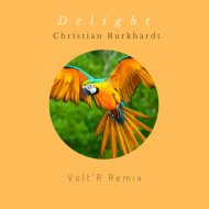 Christian Burkhardt - Delight (Volt\'R Remix)
