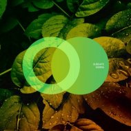 Subgate - Sierra (Original Mix)