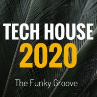 the funky groove - 2020 tech house ()