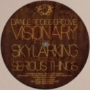 Visionary - Skylarking ()