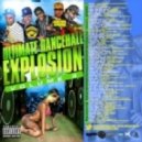 Dj ToJIcT9IK - The Brain Explosion vol.8 ()