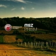 MSZ - Prism (Original Mix)