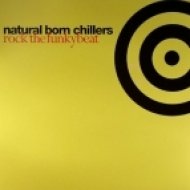 Natural Born Chillers - Rock The Funky Beat (Original Version)