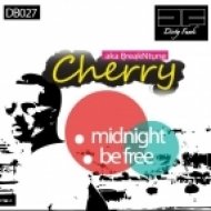 Cherry Aka Breakntune - Midnight (Original Mix)