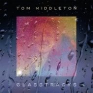 Tom Middleton - sea of glass (alucidnation acid offcuts remix)