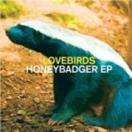 Lovebirds - Running Backwards (Original Mix)