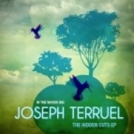 Joseph Terruel - The Jazzy Dub Sensation ()