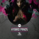 Hybrid Minds - Lost ()