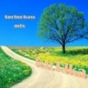 DSG feat Rika - spring bass mix ()