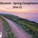 Eve feat. Gwen Stefani - Let Me Blow Your Mind (Dj Shummi Rework)