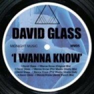 David Glass - I Wanna Know (Phil Weeks Ghetto Dub)