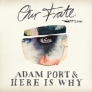 Here Is Why - Our Fate (Original Mix)