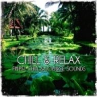 Soundloungers - Sunset in Delhi - Bollywood Mix ()