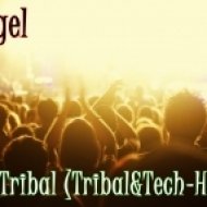 DJ Geegel - This is a Tribal (Tribal&Tech-House Mix)