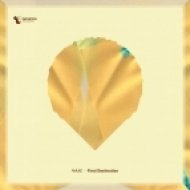MAAE - Final Destination (Original Mix)