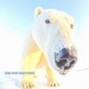 Dima Spike - Cold\'N\'bearS (Original Mix)