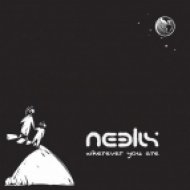 Neelix - Little Stevie (Original Mix)
