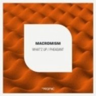 Macromism - What\'Z Up (Original Mix)