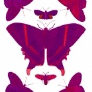 Dj Tony Stark - Butterfly part 1 ()