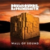 Drumsound & Bassline Smith - The Only Way (feat. Ayah Marar)