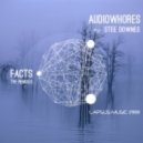Audiowhores, Stee Downes - Facts (Guido P HSR Remix)
