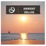 Damon McU - Life Is Too Short (Original mix)