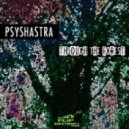 Psyshastra - On Sacred Ground (Original mix)