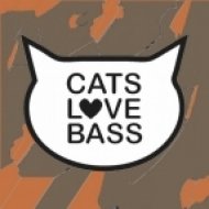 Chris Santana - Traffic (Original Mix)