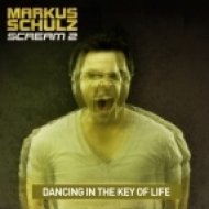 Markus Schulz - Dancing In The Key Of Life (Michael Gin Remix)