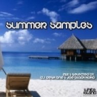 Toper&Harley - Summer In My Head (Original Mix)