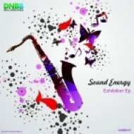 Sound Energy - The Way I Love (Original Mix)